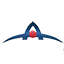 AFD